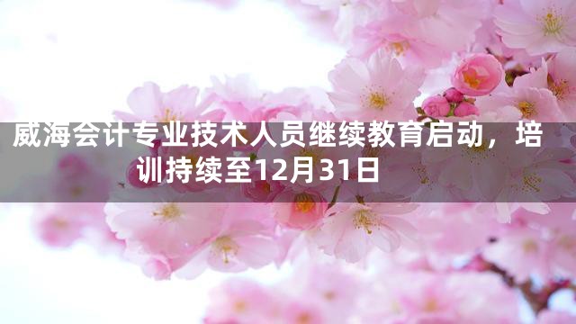 威海会计专业技术人员继续教育启动，培训持续至12月31日