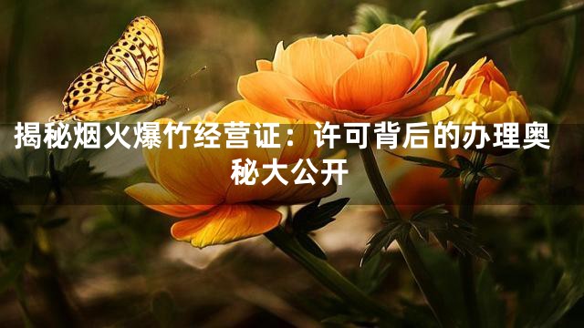 揭秘烟火爆竹经营证：许可背后的办理奥秘大公开