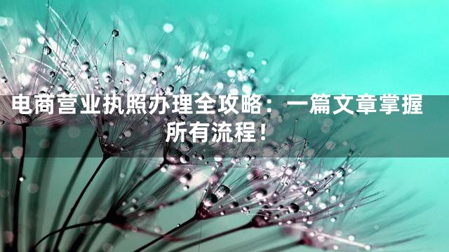 电商营业执照办理全攻略：一篇文章掌握所有流程！