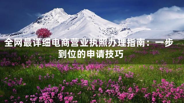 全网最详细电商营业执照办理指南：一步到位的申请技巧