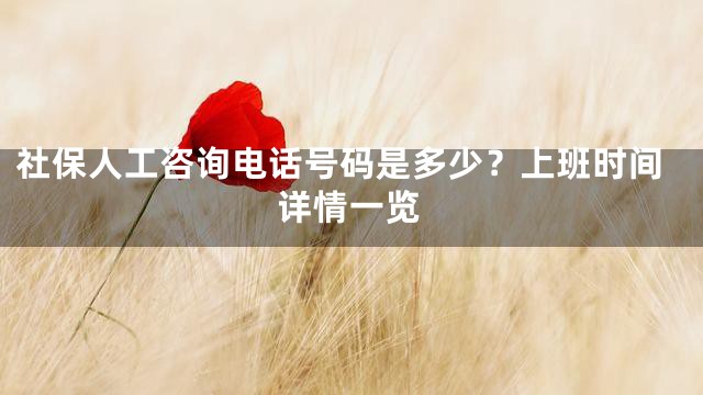 社保人工咨询电话号码是多少？上班时间详情一览