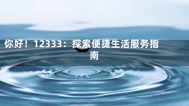 你好！12333：探索便捷生活服务指南