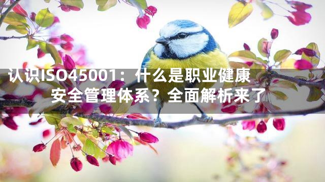 认识ISO45001：什么是职业健康安全管理体系？全面解析来了