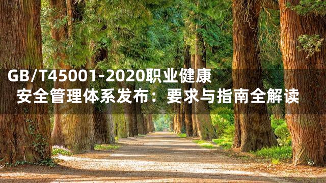 GB/T45001-2020职业健康安全管理体系发布：要求与指南全解读
