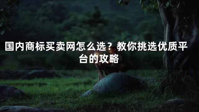 国内商标买卖网怎么选？教你挑选优质平台的攻略