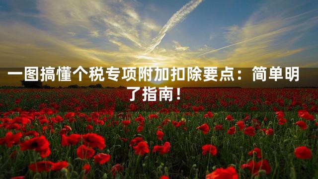 一图搞懂个税专项附加扣除要点：简单明了指南！