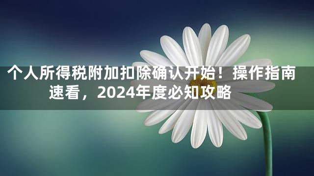 个人所得税附加扣除确认开始！操作指南速看，2024年度必知攻略
