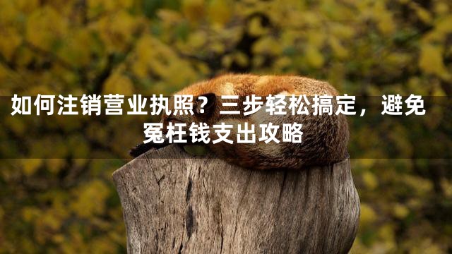 如何注销营业执照？三步轻松搞定，避免冤枉钱支出攻略