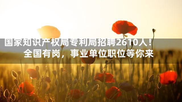 国家知识产权局专利局招聘2610人！全国有岗，事业单位职位等你来