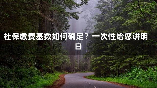 社保缴费基数如何确定？一次性给您讲明白