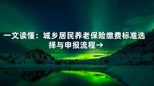 一文读懂：城乡居民养老保险缴费标准选择与申报流程→