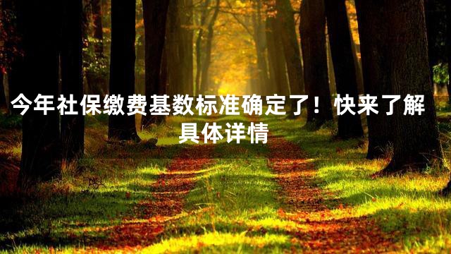 今年社保缴费基数标准确定了！快来了解具体详情