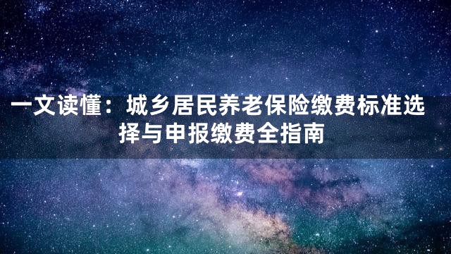 一文读懂：城乡居民养老保险缴费标准选择与申报缴费全指南