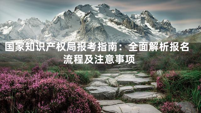 国家知识产权局报考指南：全面解析报名流程及注意事项