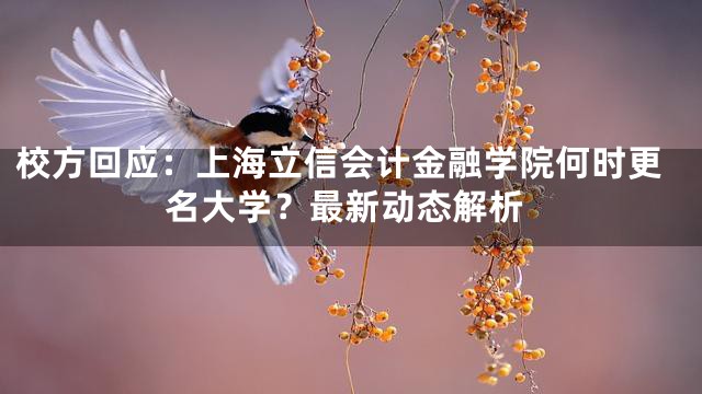 校方回应：上海立信会计金融学院何时更名大学？最新动态解析