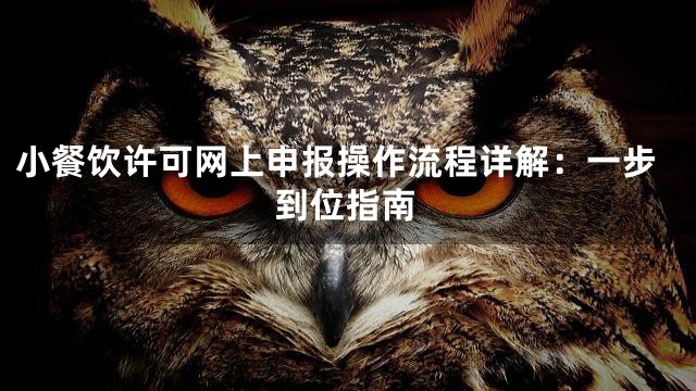小餐饮许可网上申报操作流程详解：一步到位指南