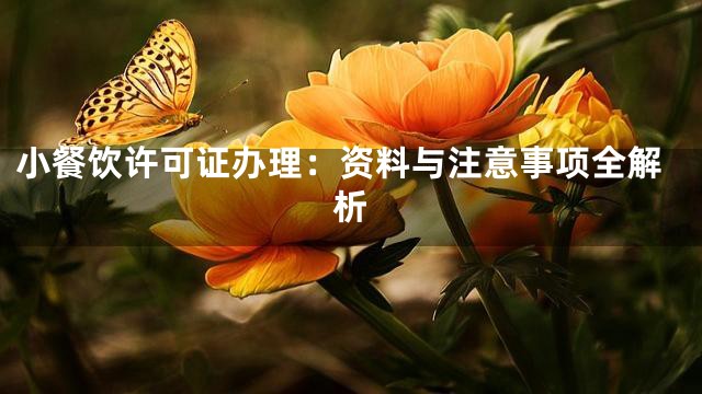 小餐饮许可证办理：资料与注意事项全解析