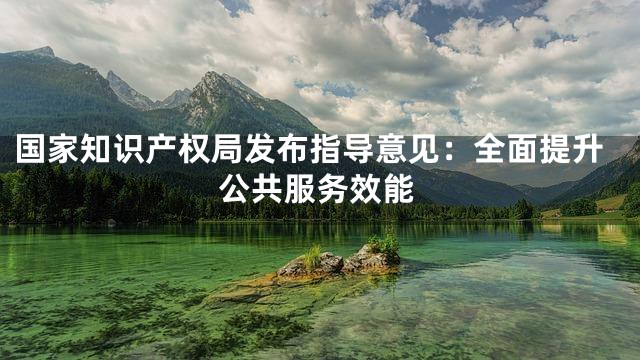 国家知识产权局发布指导意见：全面提升公共服务效能