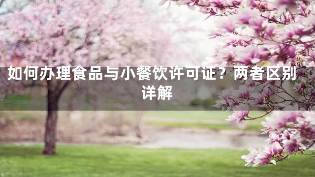 如何办理食品与小餐饮许可证？两者区别详解