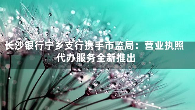 长沙银行宁乡支行携手市监局：营业执照代办服务全新推出