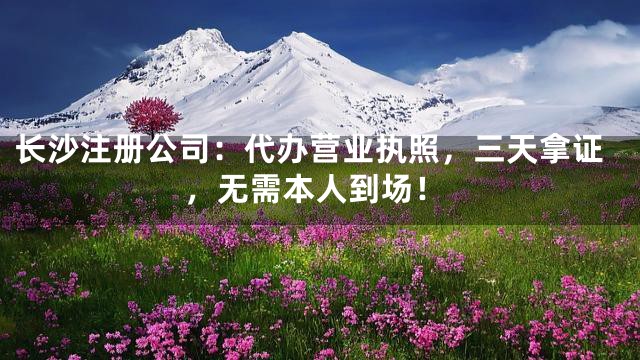 长沙注册公司：代办营业执照，三天拿证，无需本人到场！