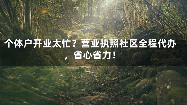 个体户开业太忙？营业执照社区全程代办，省心省力！