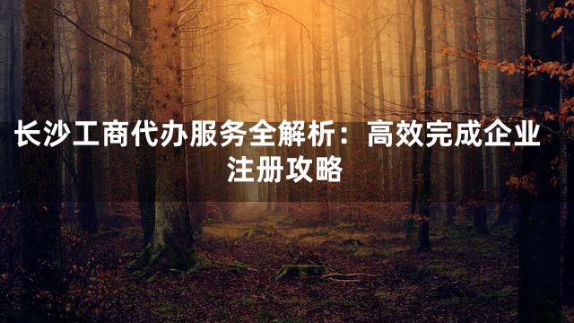 长沙工商代办服务全解析：高效完成企业注册攻略