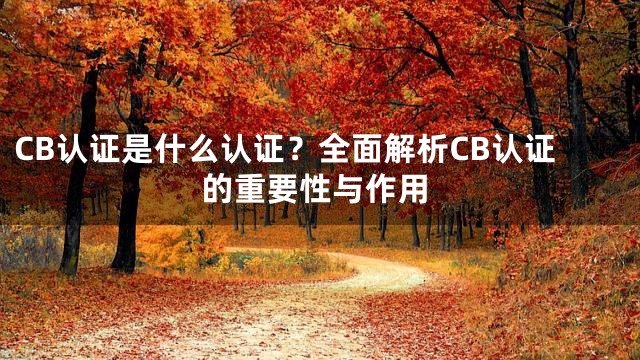 CB认证是什么认证？全面解析CB认证的重要性与作用