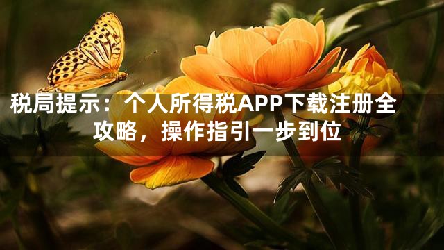 税局提示：个人所得税APP下载注册全攻略，操作指引一步到位