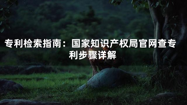专利检索指南：国家知识产权局官网查专利步骤详解