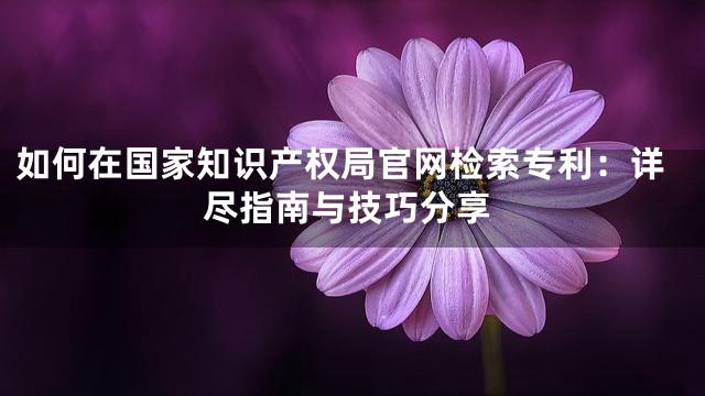 如何在国家知识产权局官网检索专利：详尽指南与技巧分享