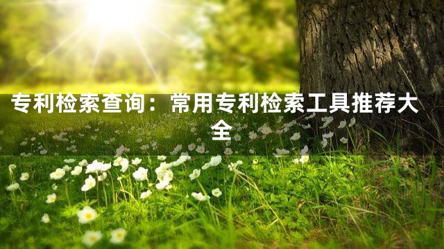 专利检索查询：常用专利检索工具推荐大全