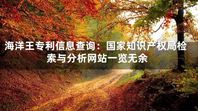 海洋王专利信息查询：国家知识产权局检索与分析网站一览无余