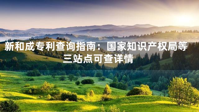 新和成专利查询指南：国家知识产权局等三站点可查详情