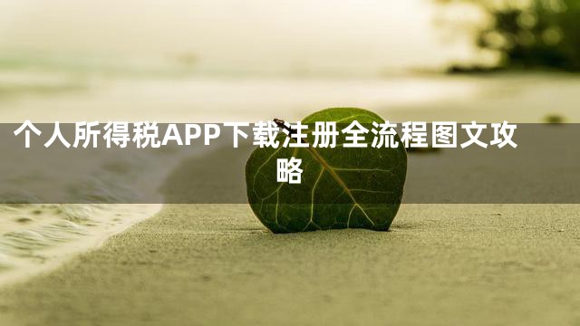 个人所得税APP下载注册全流程图文攻略