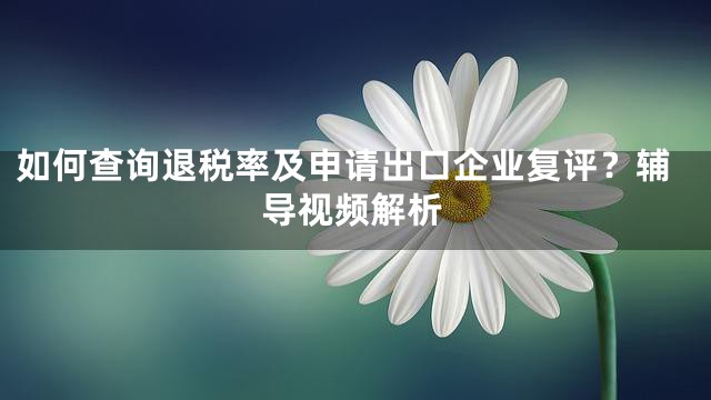 如何查询退税率及申请出口企业复评？辅导视频解析