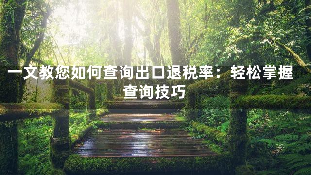 一文教您如何查询出口退税率：轻松掌握查询技巧