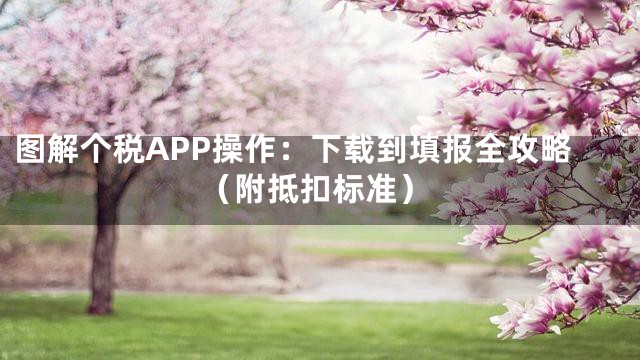 图解个税APP操作：下载到填报全攻略（附抵扣标准）