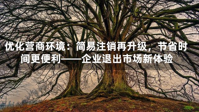优化营商环境：简易注销再升级，节省时间更便利——企业退出市场新体验