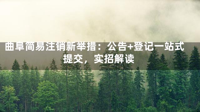 曲阜简易注销新举措：公告+登记一站式提交，实招解读