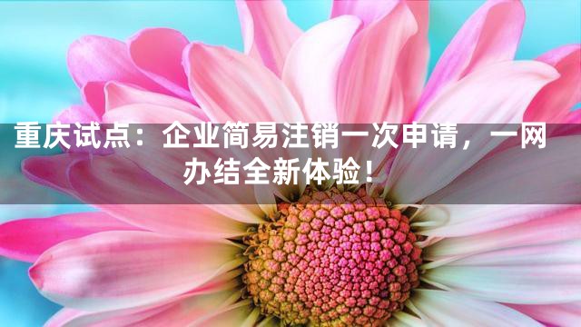 重庆试点：企业简易注销一次申请，一网办结全新体验！