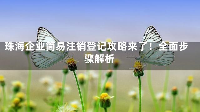 珠海企业简易注销登记攻略来了！全面步骤解析