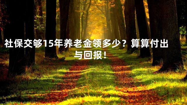 社保交够15年养老金领多少？算算付出与回报！