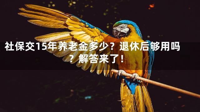 社保交15年养老金多少？退休后够用吗？解答来了！