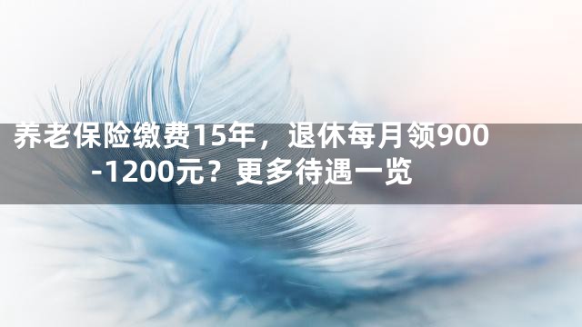 养老保险缴费15年，退休每月领900-1200元？更多待遇一览
