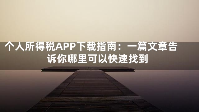 个人所得税APP下载指南：一篇文章告诉你哪里可以快速找到