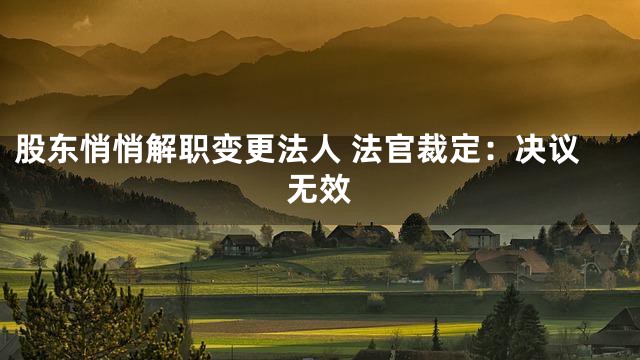 股东悄悄解职变更法人 法官裁定：决议无效
