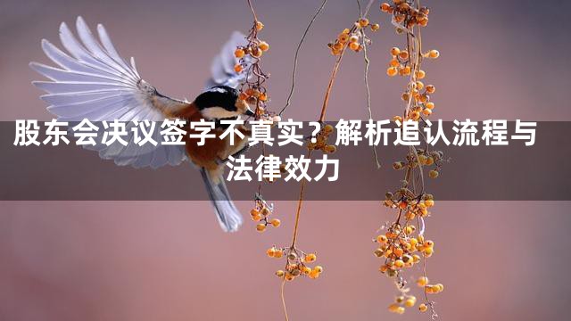 股东会决议签字不真实？解析追认流程与法律效力