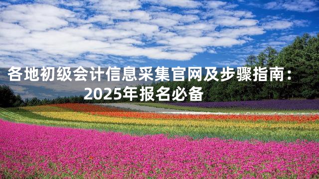 各地初级会计信息采集官网及步骤指南：2025年报名必备