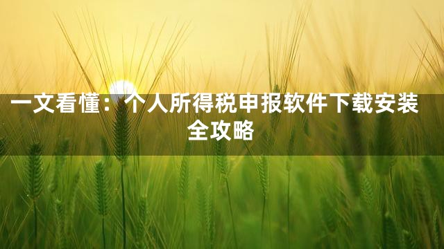 一文看懂：个人所得税申报软件下载安装全攻略